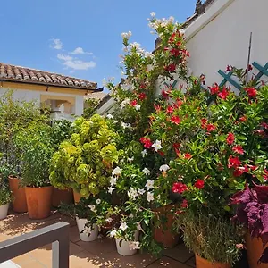 Descalzos Angel With Private Terrace Free Parking Appartement